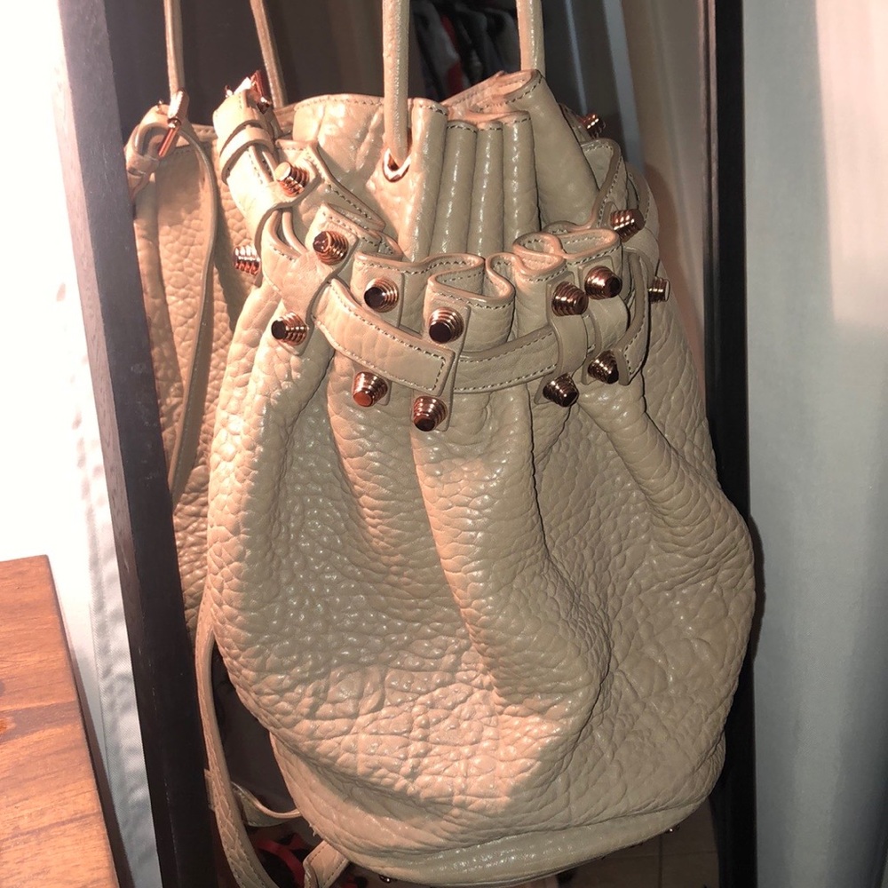 Alexander Wang bag